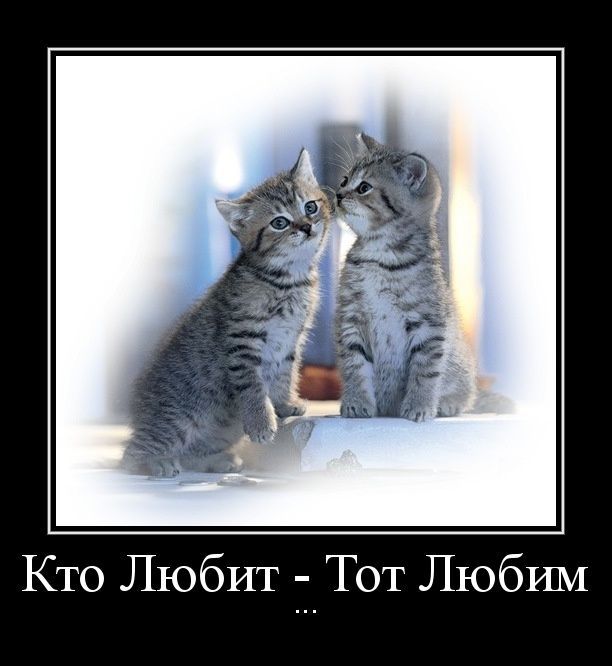 Кто Любит - Тот Любим ...