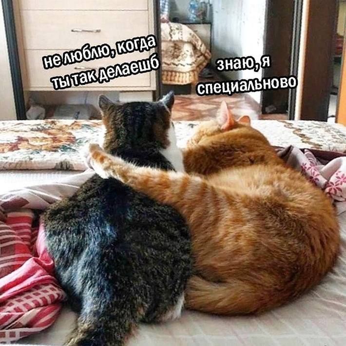 не люблю, когда ты так делаешь
знаю,я специально