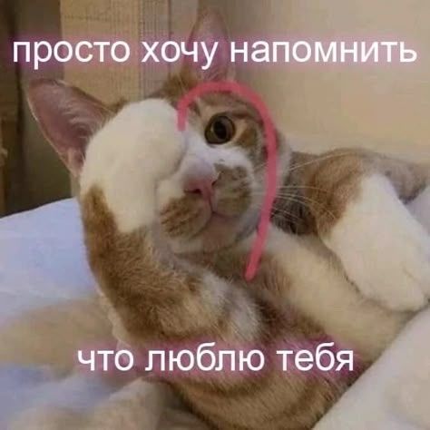 просто хочу напомнить что люблю тебя