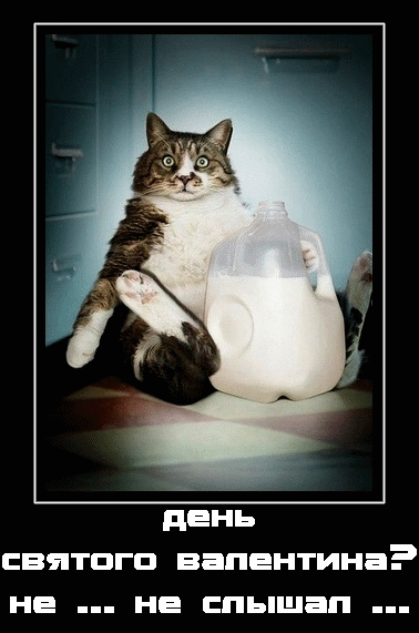 день святого валентина? не ... не слышал ...