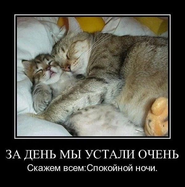 ЗА ДЕНЬ МЫ УСТАЛИ ОЧЕНЬ
Скажем всем: Спокойной ночи.
