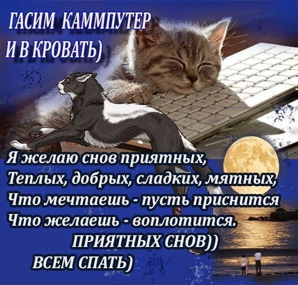 ГАСИМ КАМПМЛУТЕР И В КРОВАТЬ
Я желаю снов приятных, Теплых, добрых, сладких, мятных, Что мечтаешь - пусть приснится Что желаешь - воплотится. ПРИЯТНЫХ СНОВ)) ВСЕМ СПАТЬ
