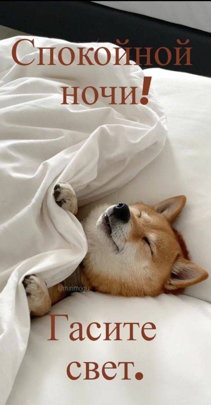 Спокойной ночи! Гасите свет.