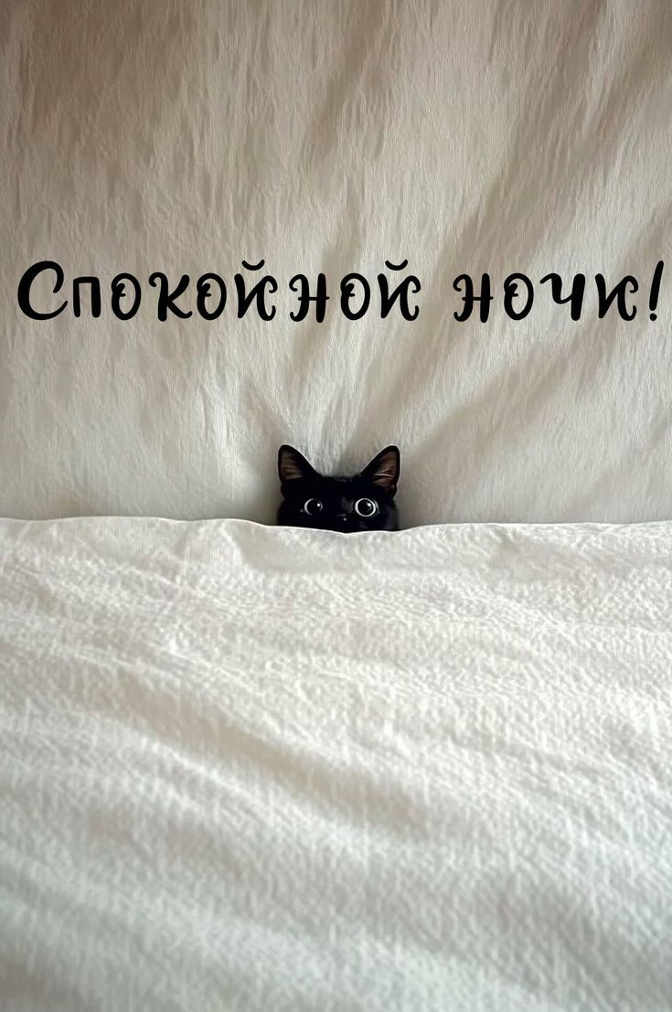 Спокойной ночи!