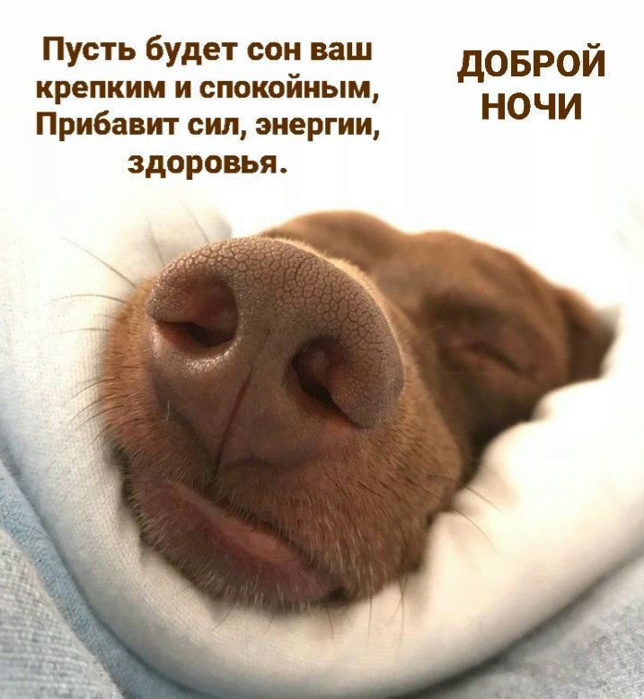 Пусть будет сон ваш крепким и спокойным, Прибавит сил, энергии, здоровья. ДОБРОЙ НОЧИ
