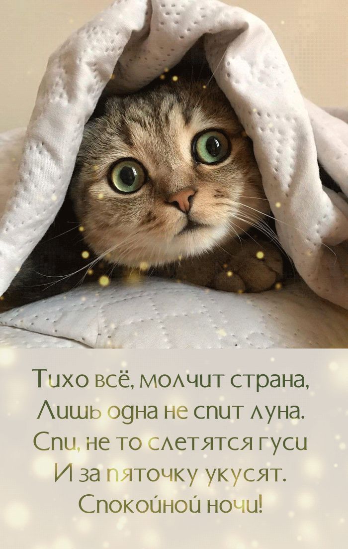 Тихо всё, молчит страна, Лишь одна не спит луна. Спи, не то слетят гуси И за пяточку укусят. Спокойной ночи!