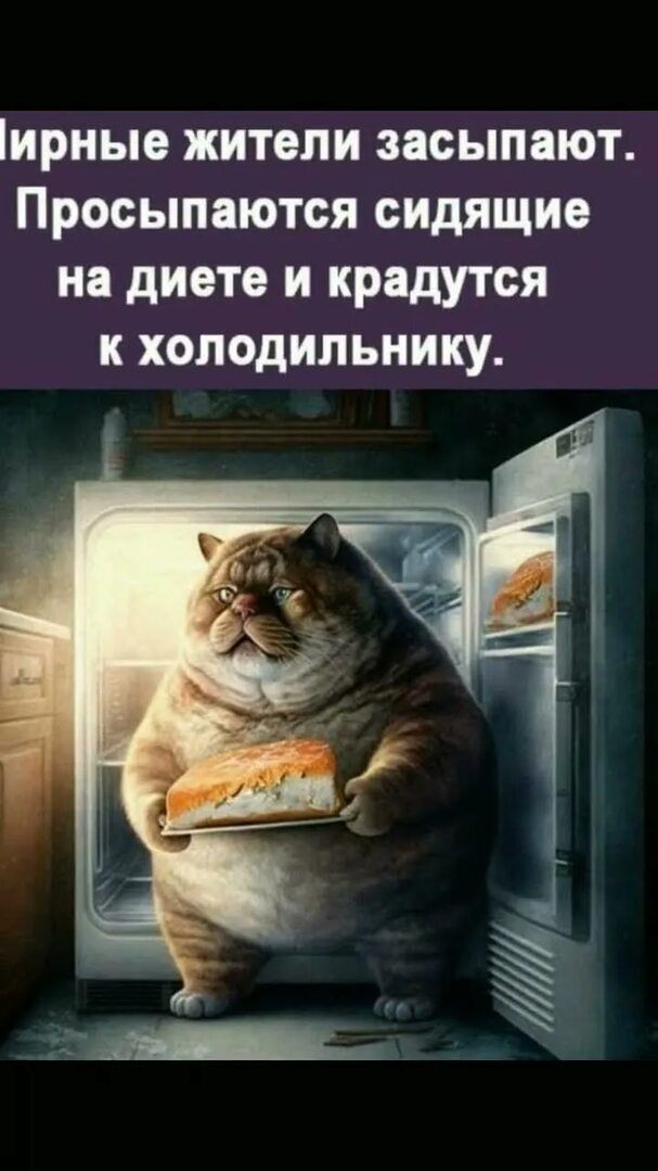 Ирные жители засыпают. Просыпаются сидящие на диете и крадутся к холодильнику.