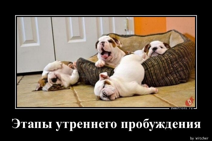 Этапы утреннего пробуждения