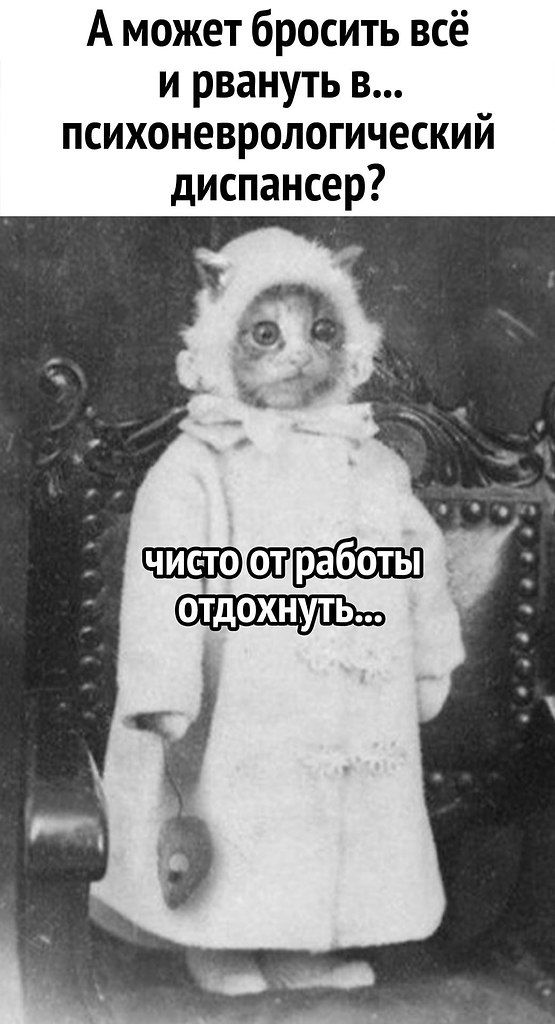 А может бросить всё и рвануть в... психоневрологический диспансер? Чисто от работы отдохнуть...