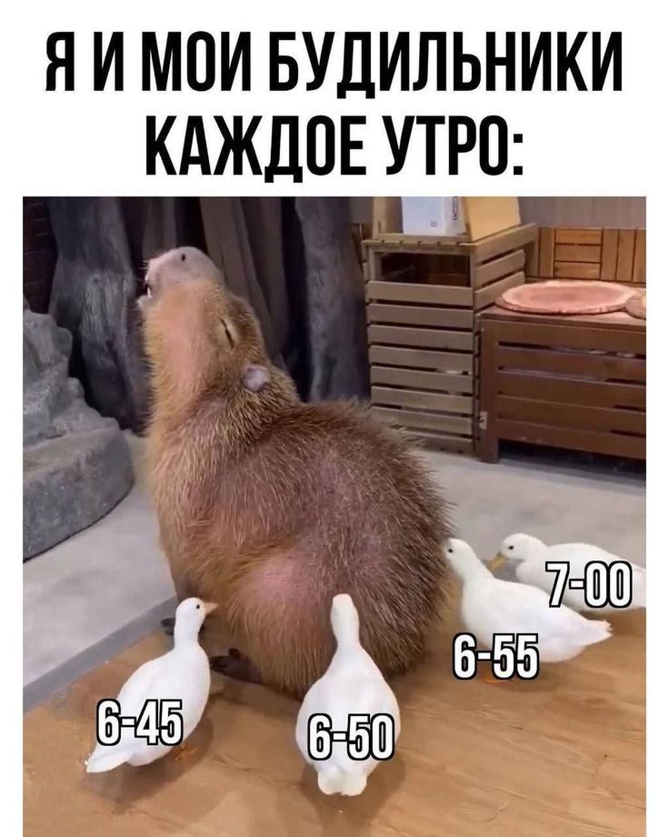 Я И МОИ БУДИЛЬНИКИ КАЖДОЕ УТРО: 6:45 6:50 6:55 7:00
