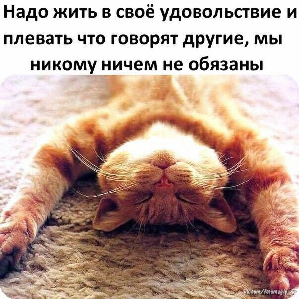 Надо жить в своё удовольствие и плевать что говорят другие, мы никому ничем не обязаны