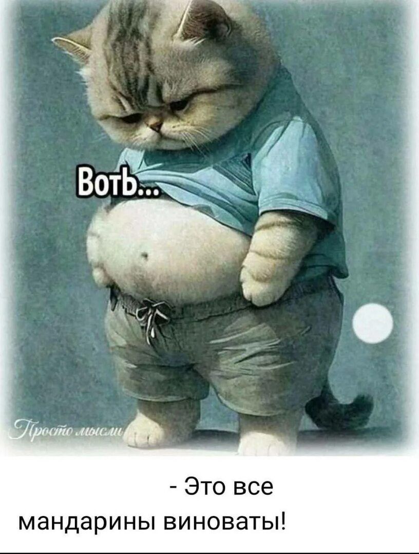 Вот... Это все мандарины виноваты!