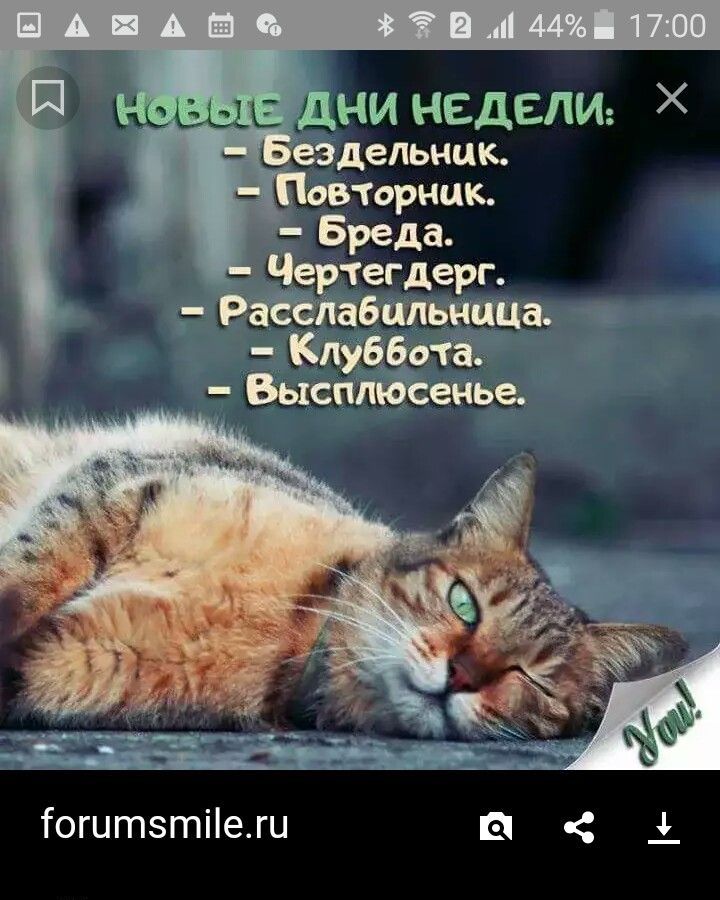 Новые дни недели: - Бездельник. - Повторник. - Бреда. - Чертедегер. - Расслаблница. - Клуббота. - Высплюсненье.