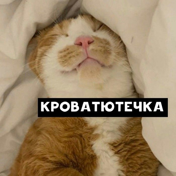 КРОВАТЮТОЧКА