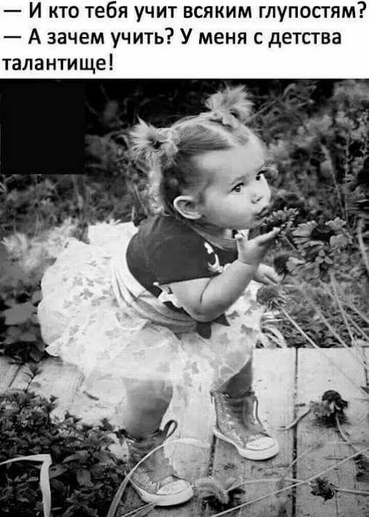 — И кто тебя учит всяким глупостям? — А зачем учить? У меня с детства талантлище!