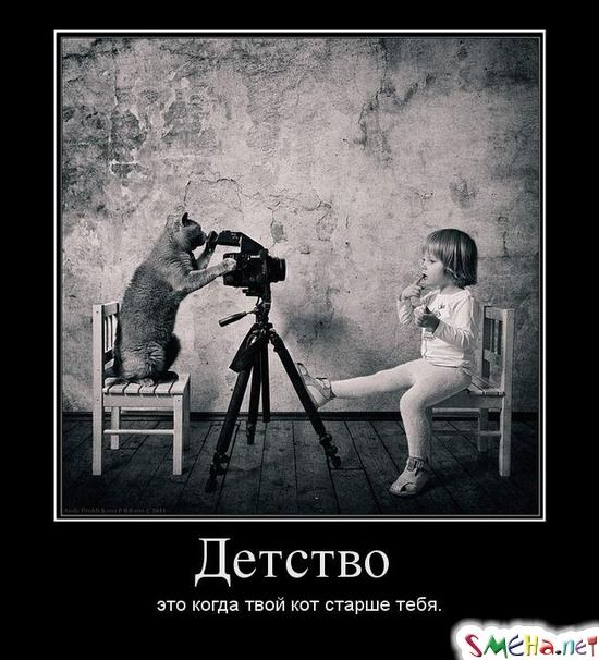 Детство это когда твой кот старше тебя.