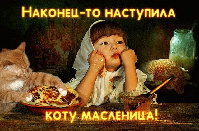 Наконец-то наступила коту Масленица!