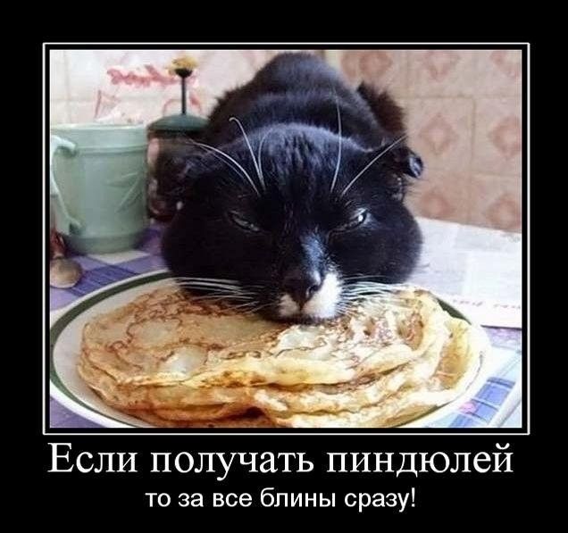Если получить пиндолей то за все блины сразу!