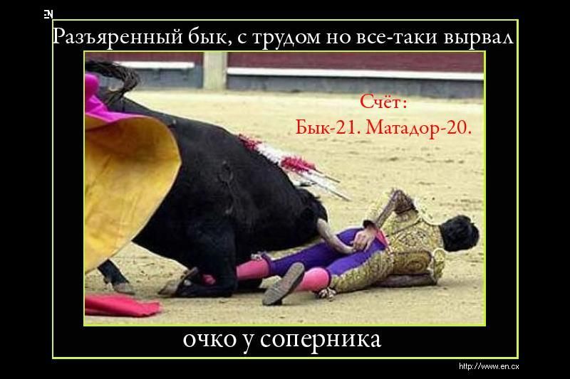 Разъяренный бык, с трудом но все-таки вырвал; Счёт: Бык-21. Матадор-20. очко у соперника