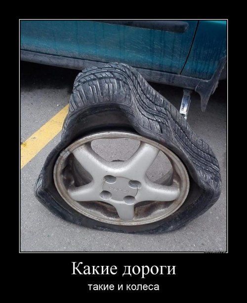 Какие дороги такие и колеса