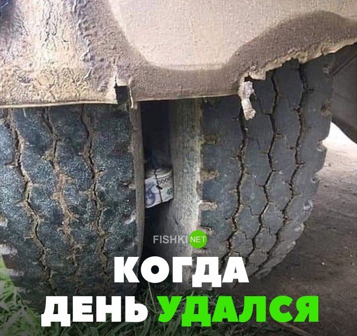 КОГДА ДЕНЬ УДАЛСЯ