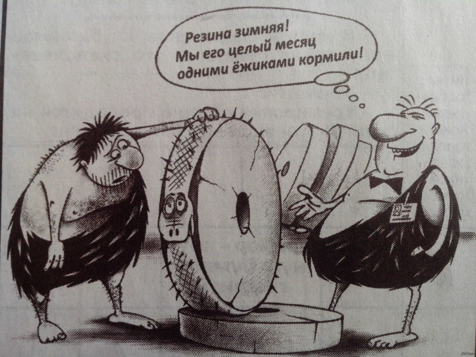 Резина зимняя! Мы его целый месяц одним ёжиками кормили!