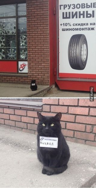 Михаил
+10% скидка на шиномонтаж