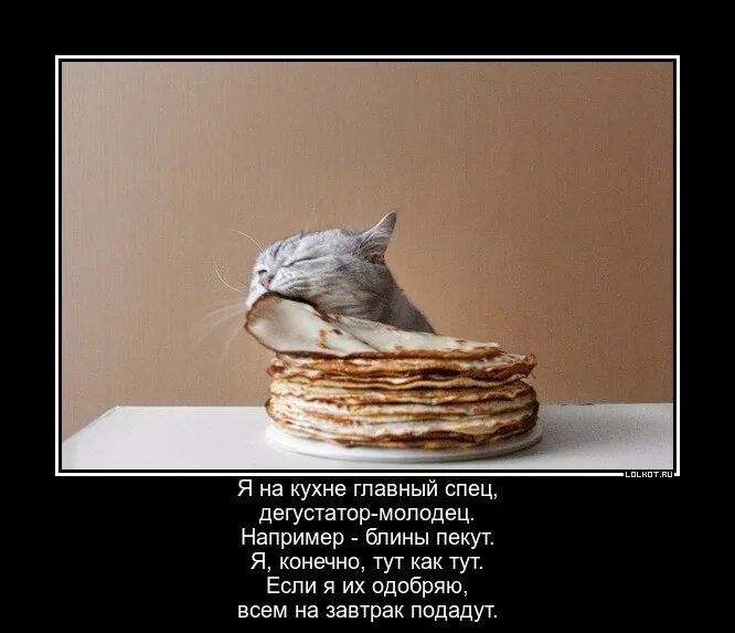 Я на кухне главный спец, дегустатор-молодец. Например - блины печут. Я, конечно, тут как тут. Если я их одобрю, всем на завтрак подадут.