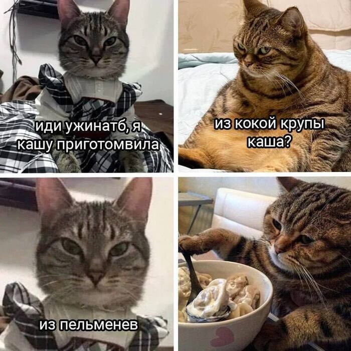 иди ужинать, я кашу приготовила / из какой крупы каша? / из пельменей