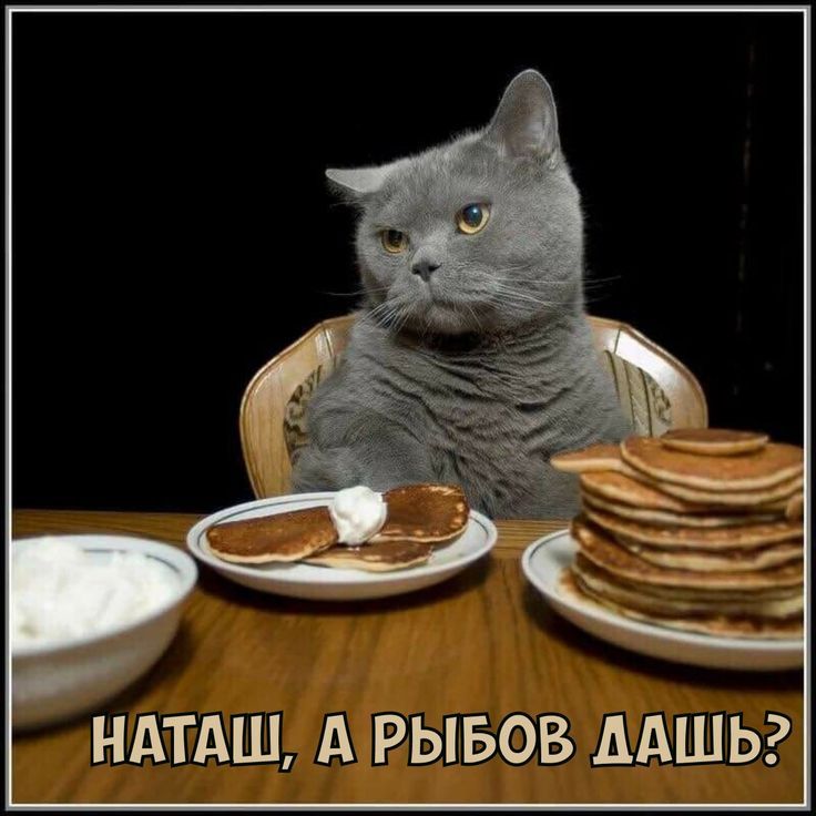НАТАШ, А РЫБОВ ДАШЬ?