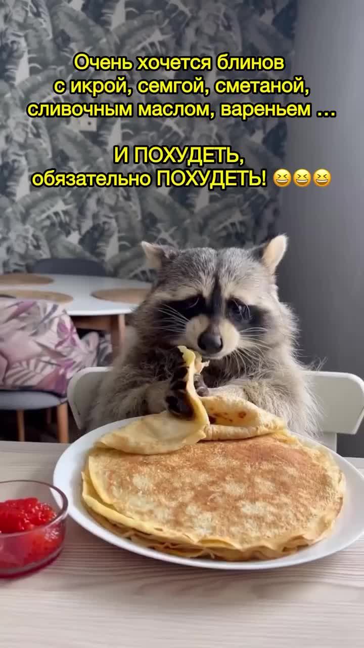 Очень хочется блинов с икрой, семгой, сметаной, сливочным маслом, вареньем ... И ПОХУДЕТЬ, обязательно ПОХУДЕТЬ!