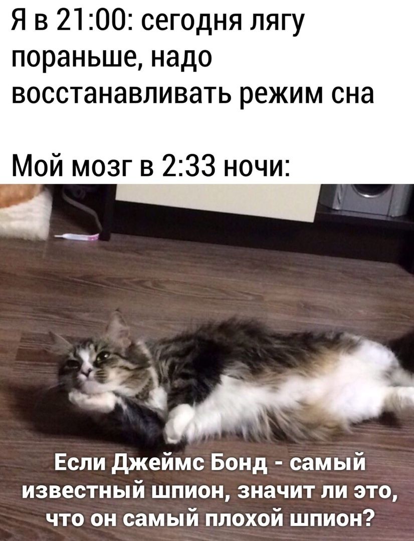 Я в 21:00: сегодня лягу пораньше, надо восстанавливать режим сна\nМой мозг в 2:33 ночи:\nЕсли Джеймс Бонд - самый известный шпион, значит ли это, что он самый плохой шпион?