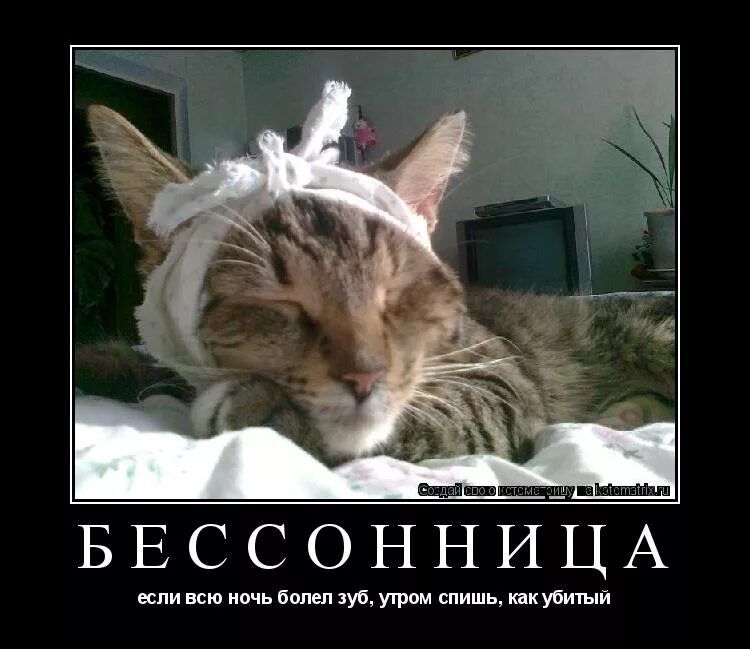 БЕССОННИЦА\nесли всю ночь болел зуб, утром спишь, как убитый