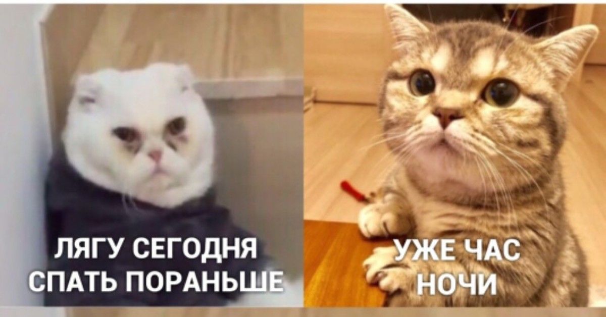 Лягу сегодня спать пораньше
Уже час ночи