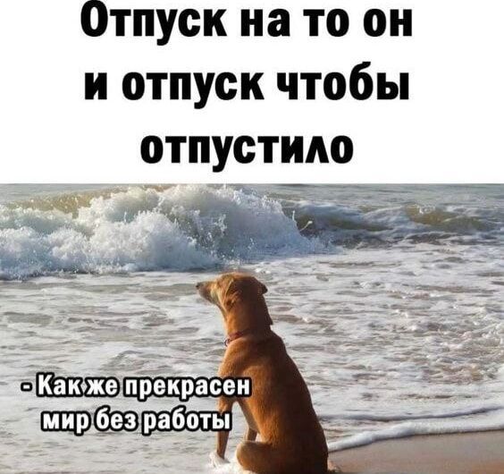 Отпуск на то он и отпуск чтобы отпустило
- Как же прекрасен мир без работы