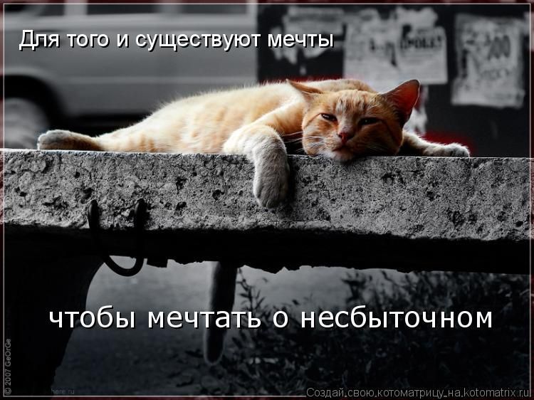 Для того и существуют мечты
чтобы мечтать о несбыточном