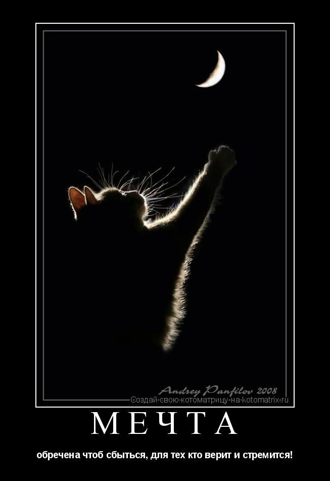 МЕЧТА
обрежена чтоб сбиться, для тех кто верит и стремится!