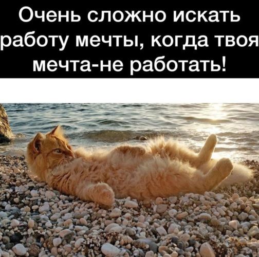 Очень сложно искать работу мечты, когда твоя мечта-не работать!