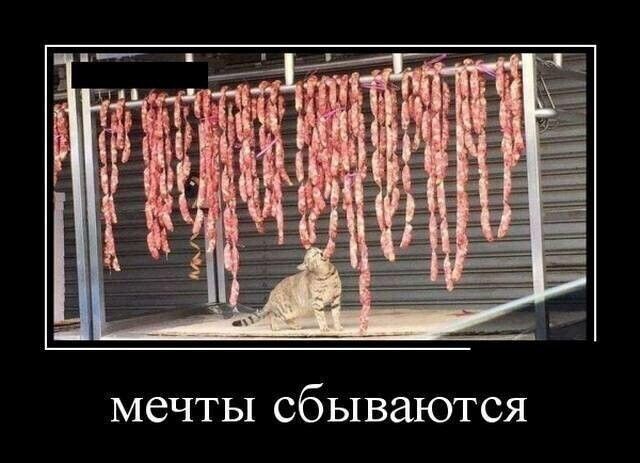 мечты сбываются