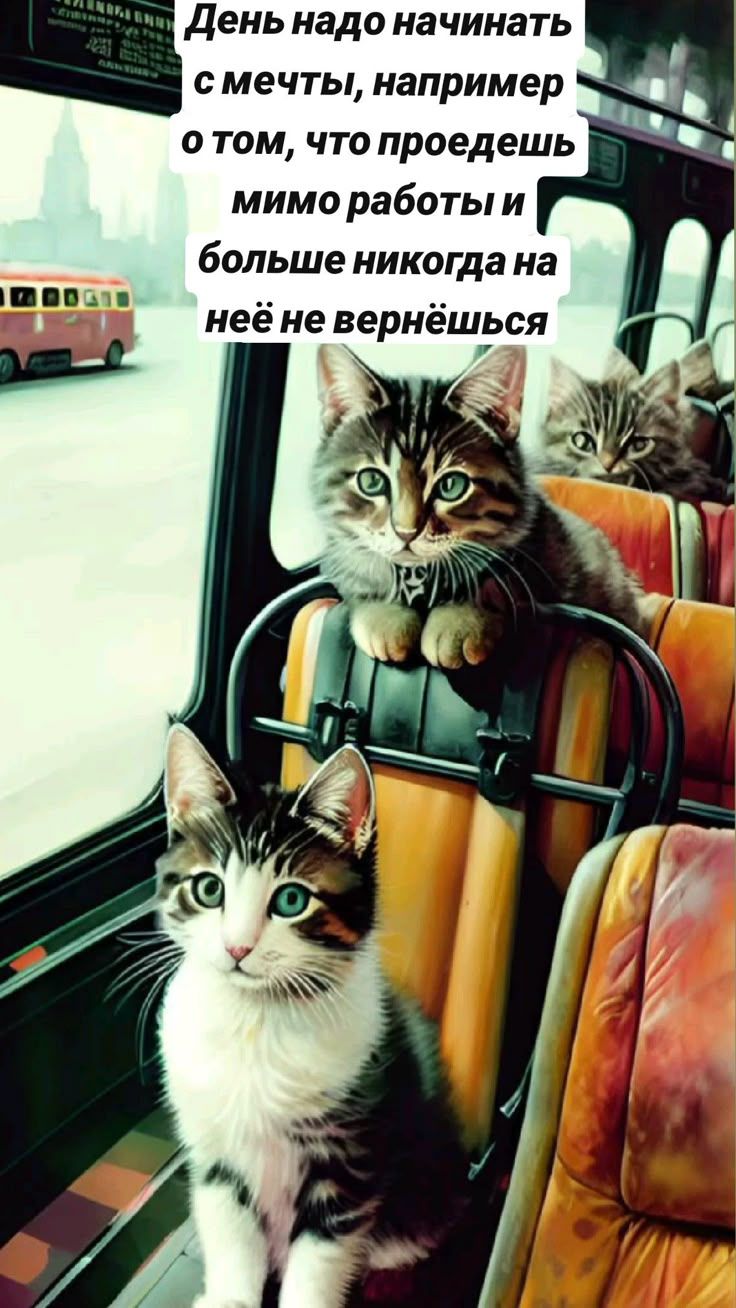 День надо начинать с мечты, например о том, что проедешь мимо работы и больше никогда на неё не вернёшься