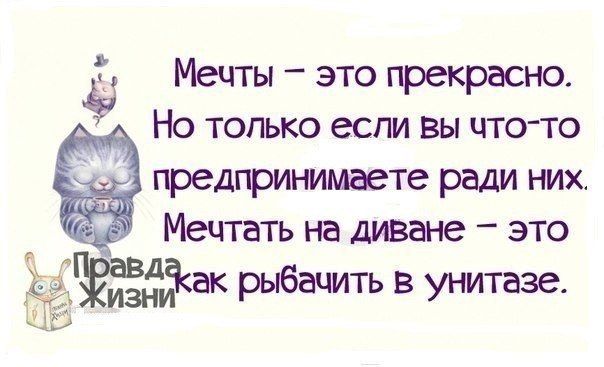 Мечты – это прекрасно. Но только если вы что-то предпринимаете ради них. Мечтать на диване – это как рычать в унитазе.