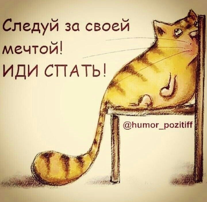 Следуй за своей мечтой! ИДИ СПАТЬ!