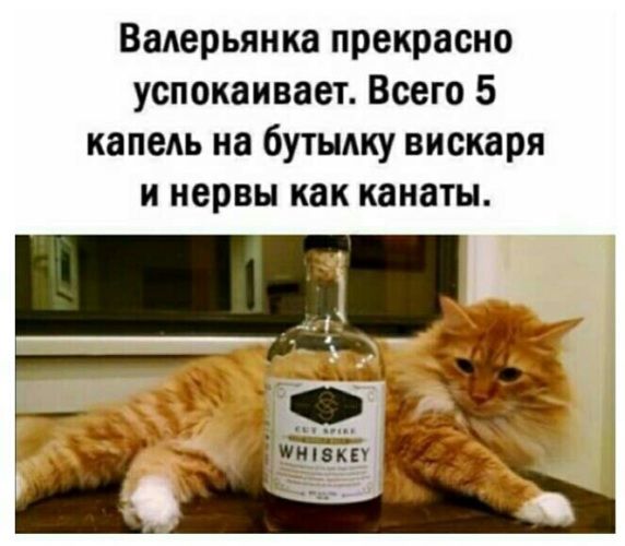 Валерьянка прекрасно успокаивает. Всего 5 капель на бутылку вискаря и нервы как канаты.