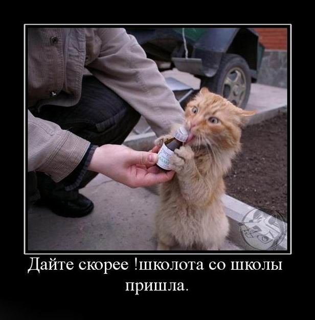 Дайте скорее !школота со школы пришла.