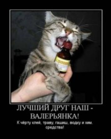 ЛУЧШИЙ ДРУГ НАШ - ВАЛЕРЬЯНКА! К чёрту клей, траву, галаши, водку и хим. средства!
