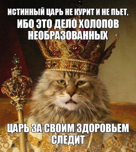 Истинный царь не курит и не пьет, ибо это дело холопов необразованных. Царь за своим здоровьем следует.