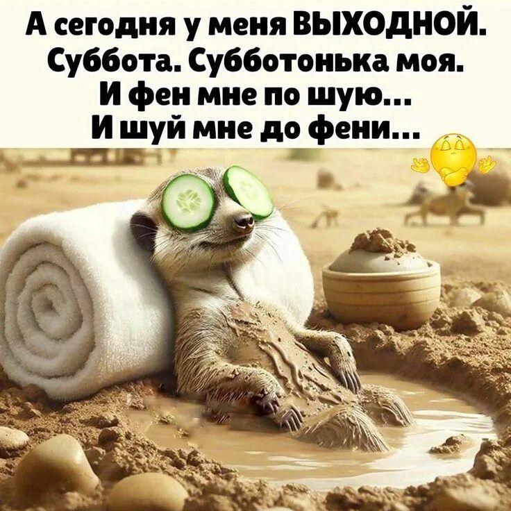 А сегодня у меня выходной. Суббота. Субботонька моя. И фен мне по шую... И шуй мне до фени...