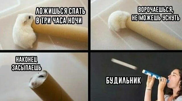 Ложишься спать в три часа ночи. Ворочаешься, не можешь уснуть. Наконец засыпаешь. Будильник.