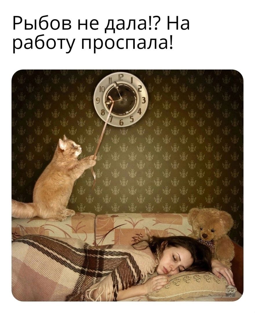 Рыбов не дала!? На работу проспала!