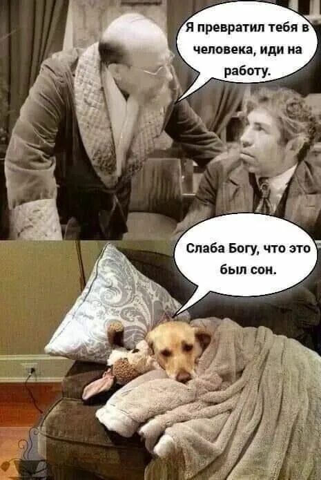 Я превратил тебя в человека, иди на работу. Слава Богу, что это был сон.